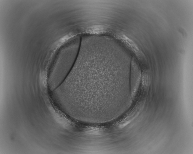 X0000112800540200909041435