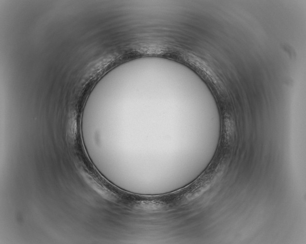 X0000112800541200909041435