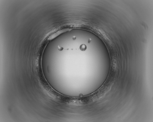 X0000112800543200909041435