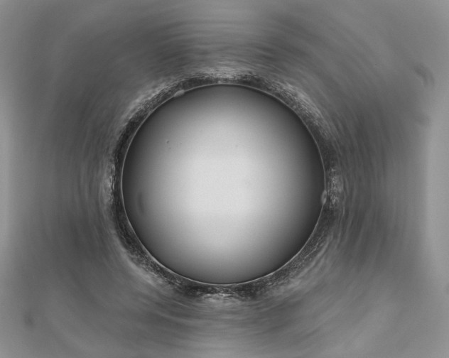 X0000112800544200909041435