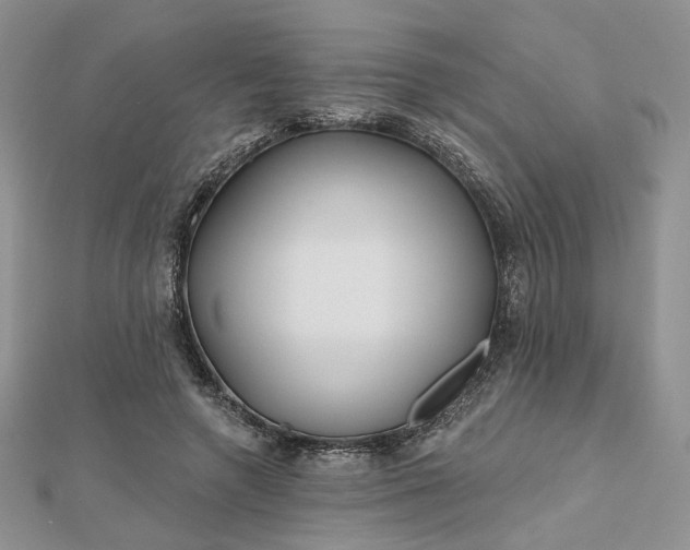 X0000112800546200909041435