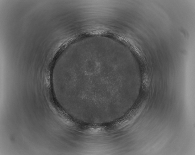 X0000112800547200909041435