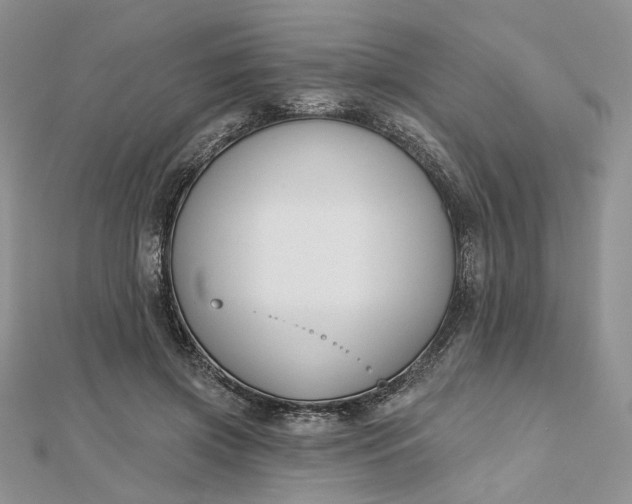 X0000112800549200909041435