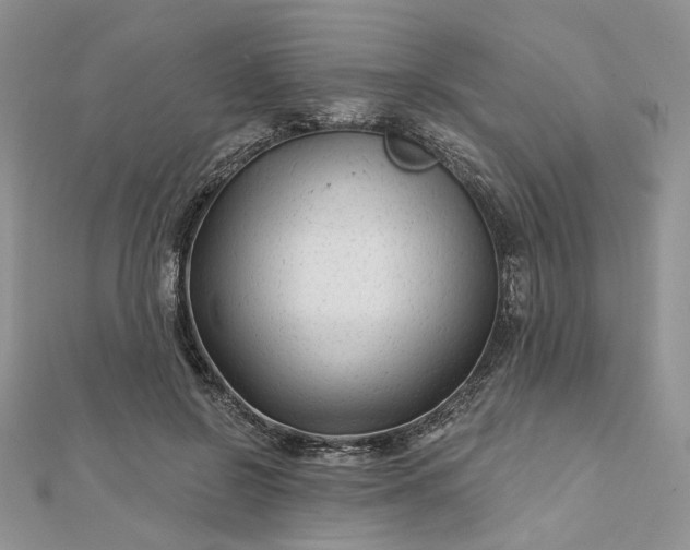 X0000112800550200909041435