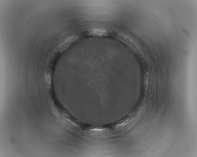 X0000112800551200909041435