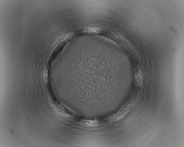 X0000112800552200909041435