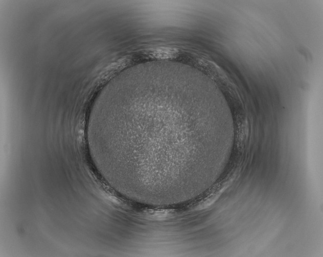 X0000112800553200909041435