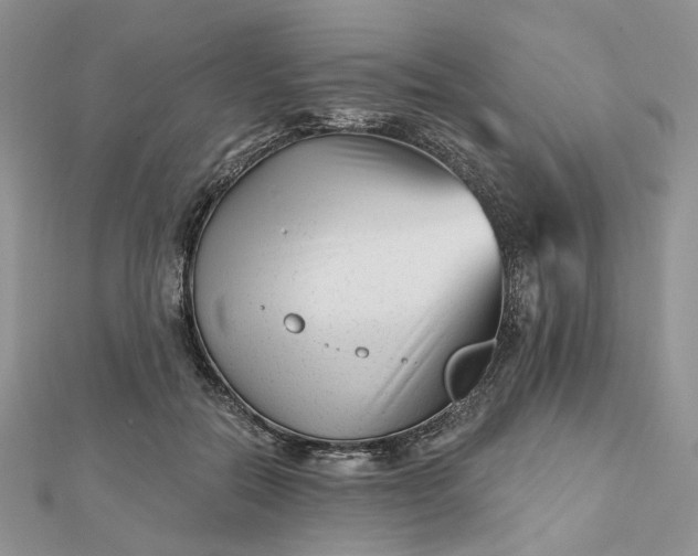 X0000112800554200909041435