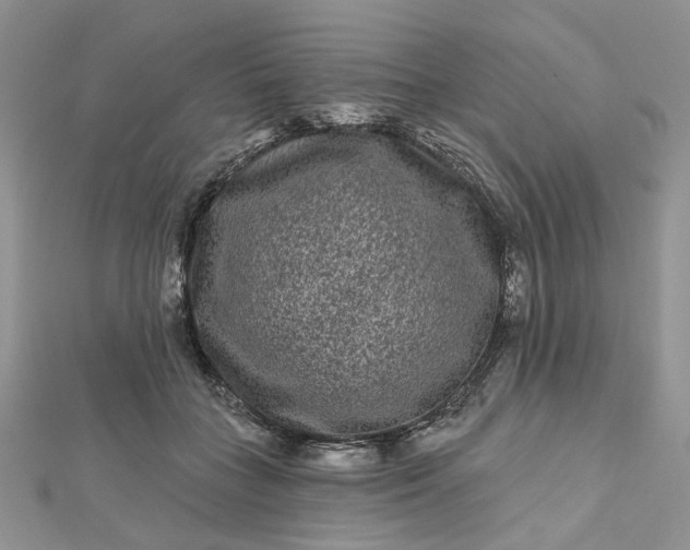 X0000112800555200909041435