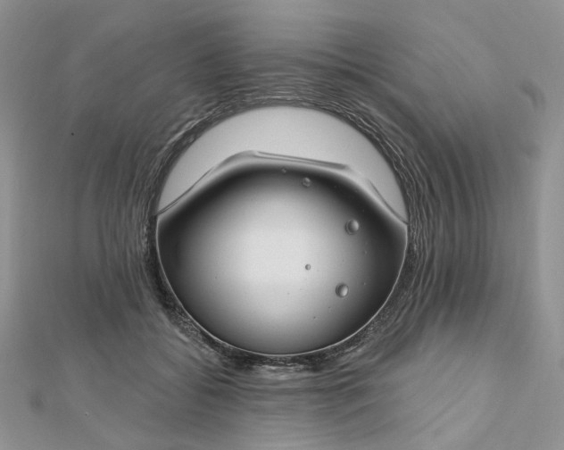 X0000112800556200909041435