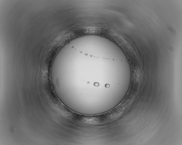 X0000112800557200909041435