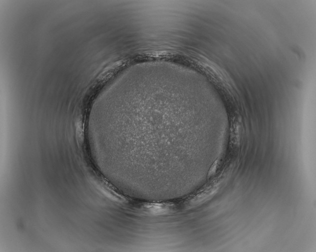 X0000112800558200909041435