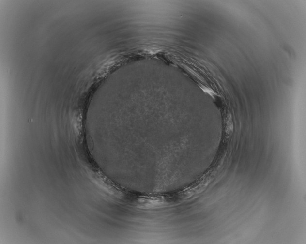 X0000112800559200909041435