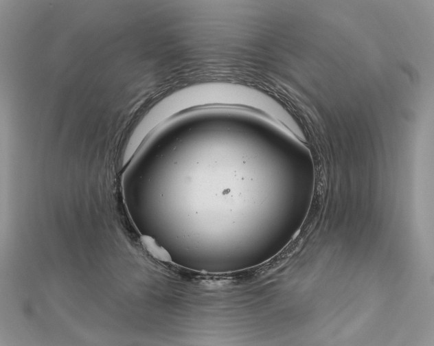 X0000112800560200909041435