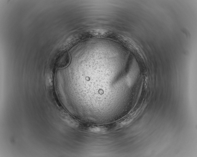 X0000112800561200909041435