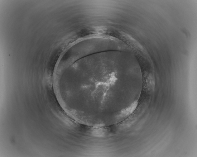 X0000112800562200909041435