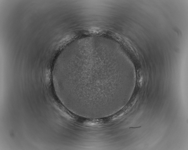 X0000112800563200909041435