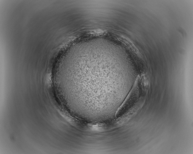 X0000112800564200909041435