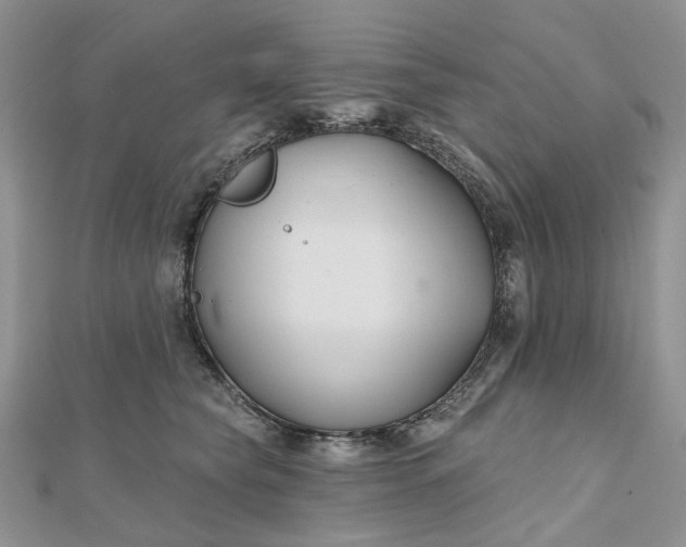 X0000112800565200909041435