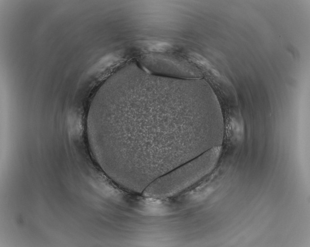 X0000112800566200909041435