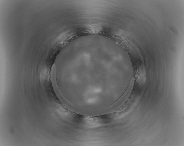 X0000112800568200909041435