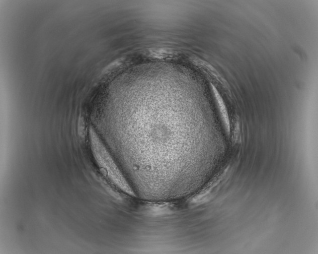 X0000112800569200909041435