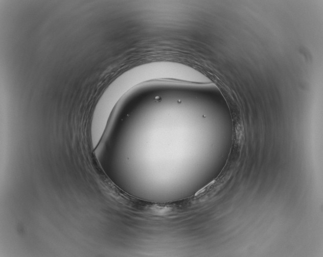 X0000112800570200909041435