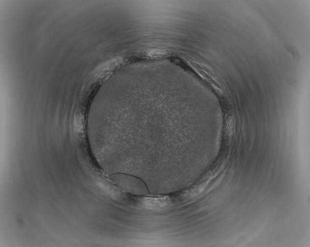 X0000112800571200909041435