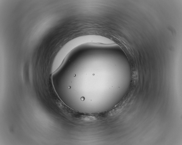 X0000112800572200909041435