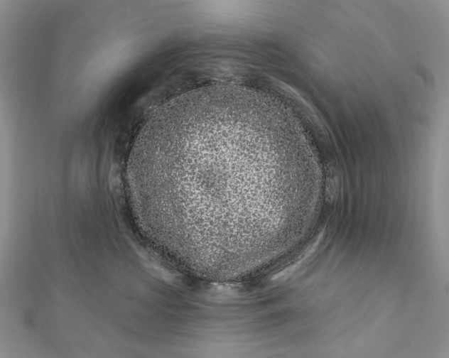 X0000112800573200909041435