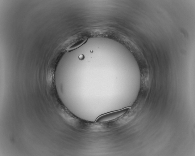 X0000112800574200909041435