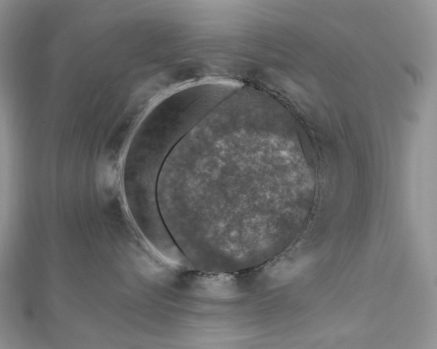 X0000112800576200909041435