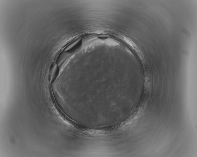 X0000112800577200909041434