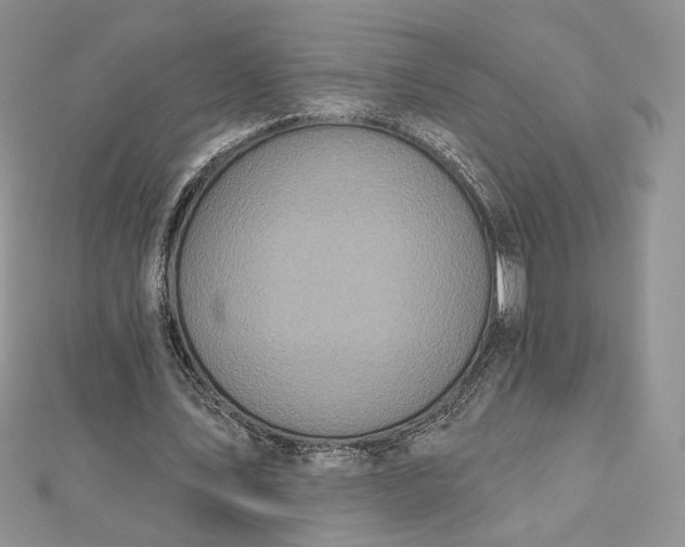 X0000112800579200909041434