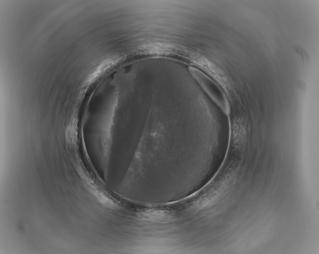 X0000112800581200909041434