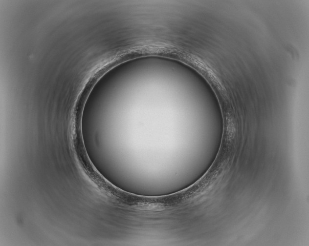 X0000112800582200909041434