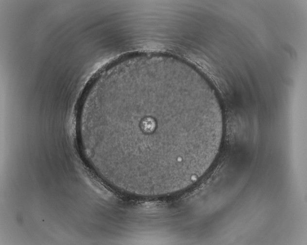 X0000112800584200909041434