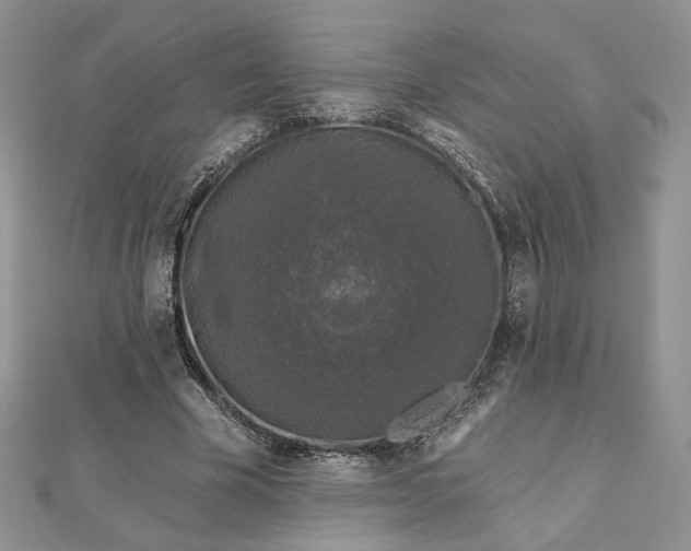 X0000112800585200909041434