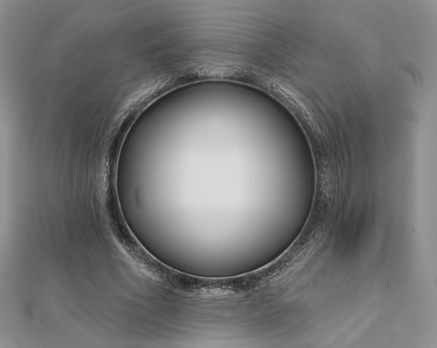 X0000112800586200909041434