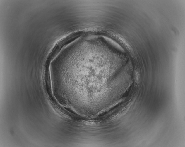 X0000112800588200909041434