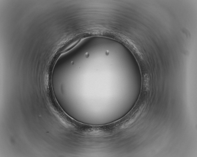 X0000112800589200909041434