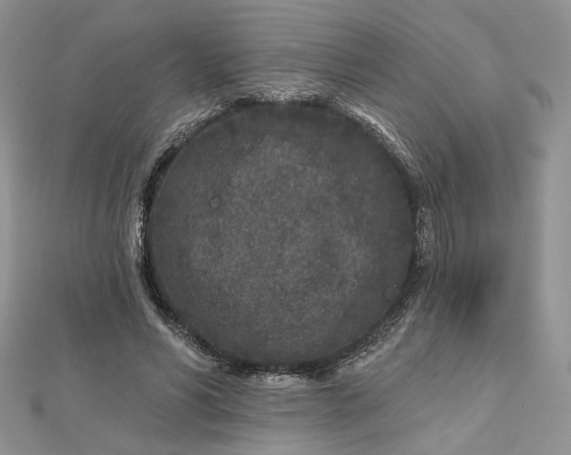 X0000112800590200909041434