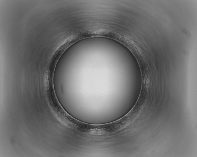 X0000112800591200909041434