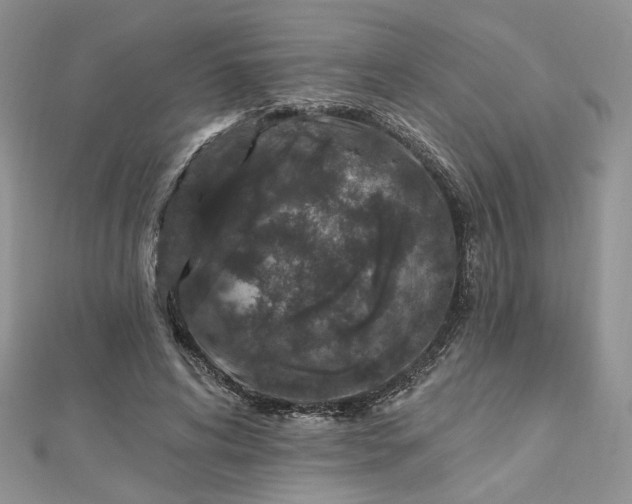 X0000112800592200909041434