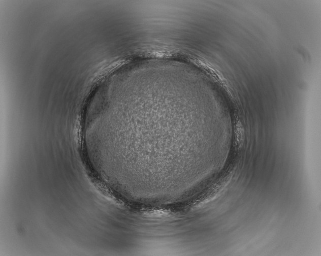 X0000112800594200909041434