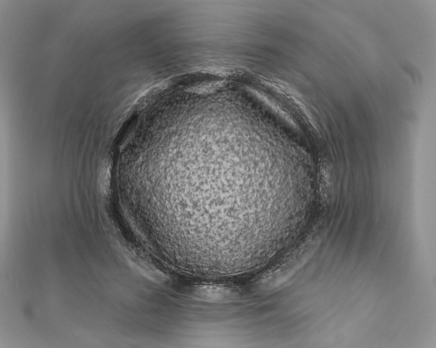 X0000112800596200909041434