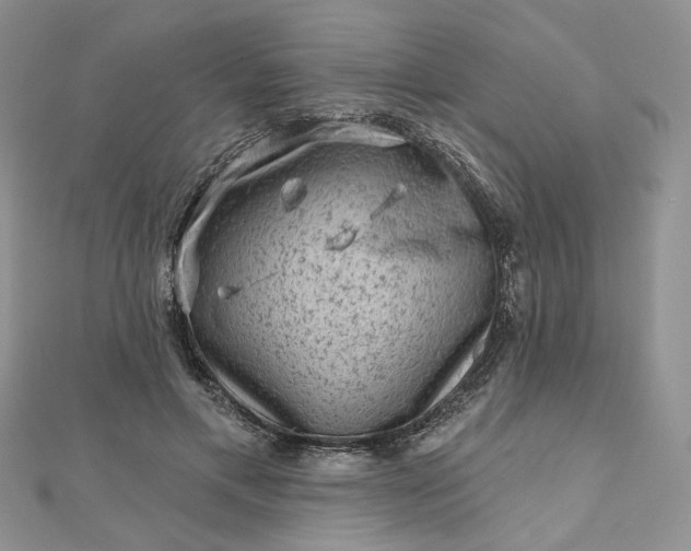 X0000112800597200909041434