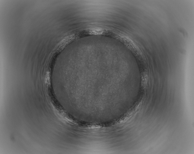 X0000112800598200909041434