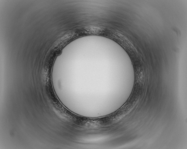 X0000112800599200909041434