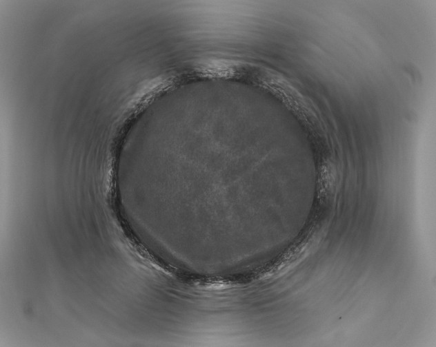 X0000112800600200909041434